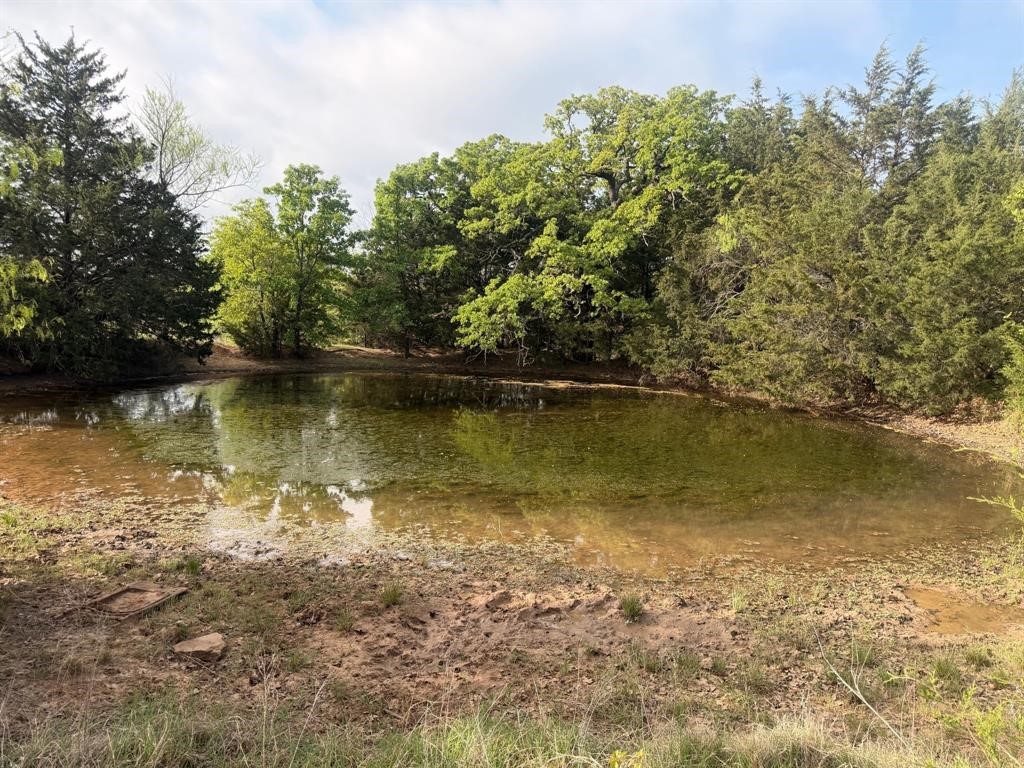 2548 County Road 2690 Alvord TX 76225