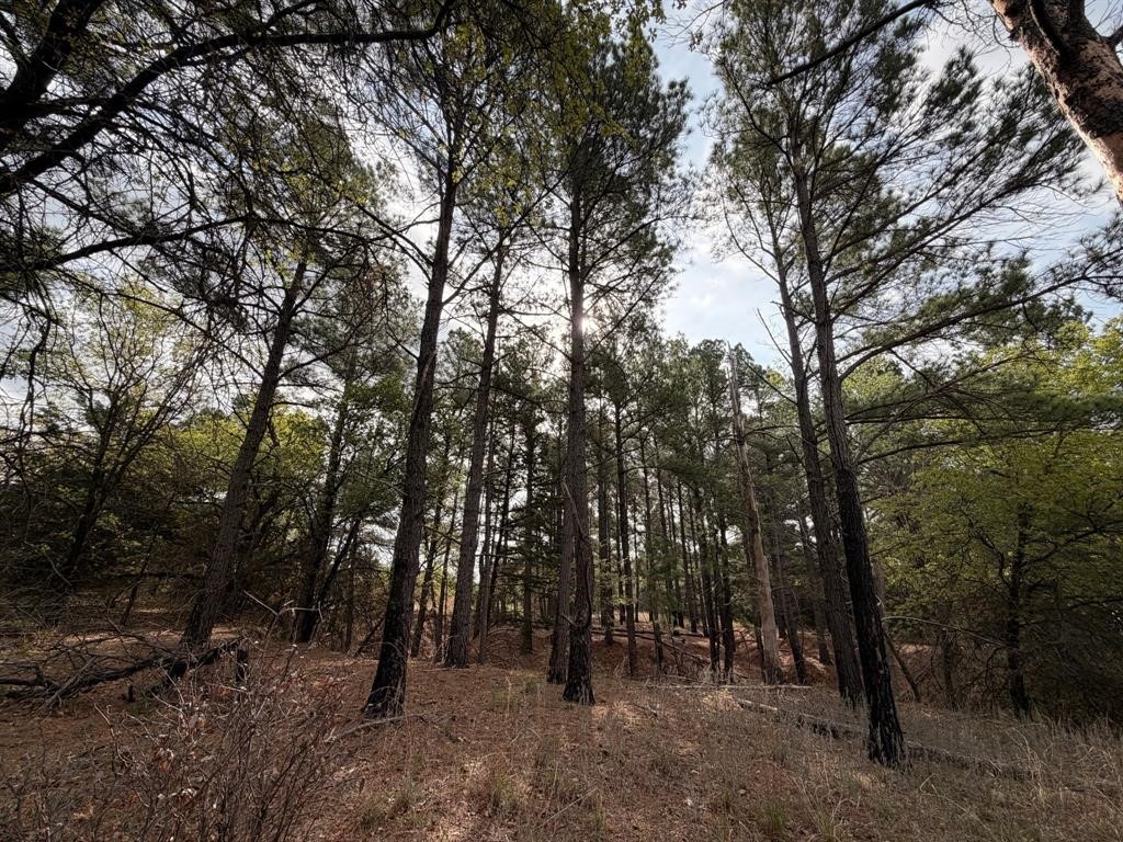 2548 County Road 2690 Alvord TX 76225