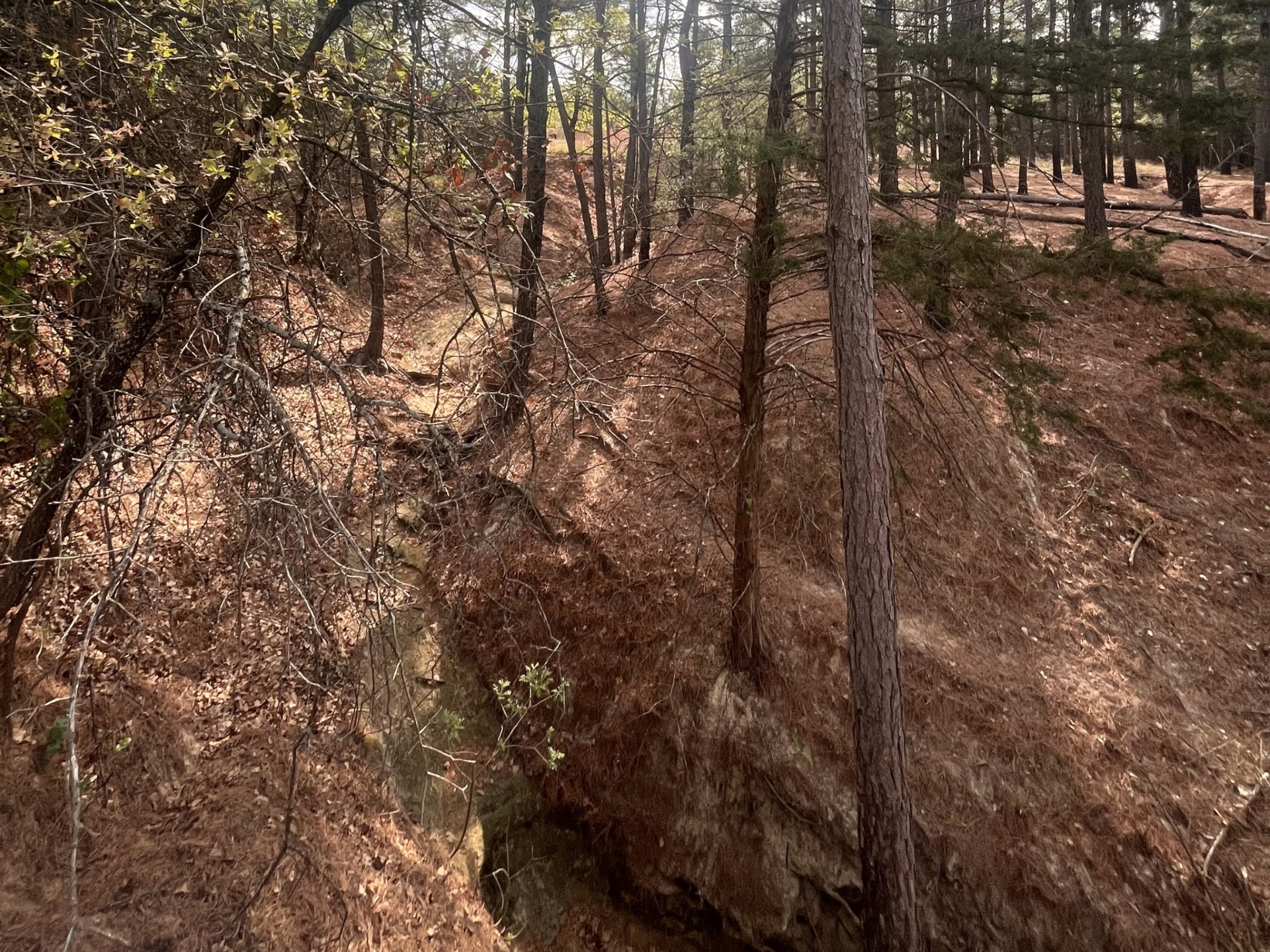 2548 County Road 2690 Alvord TX 76225