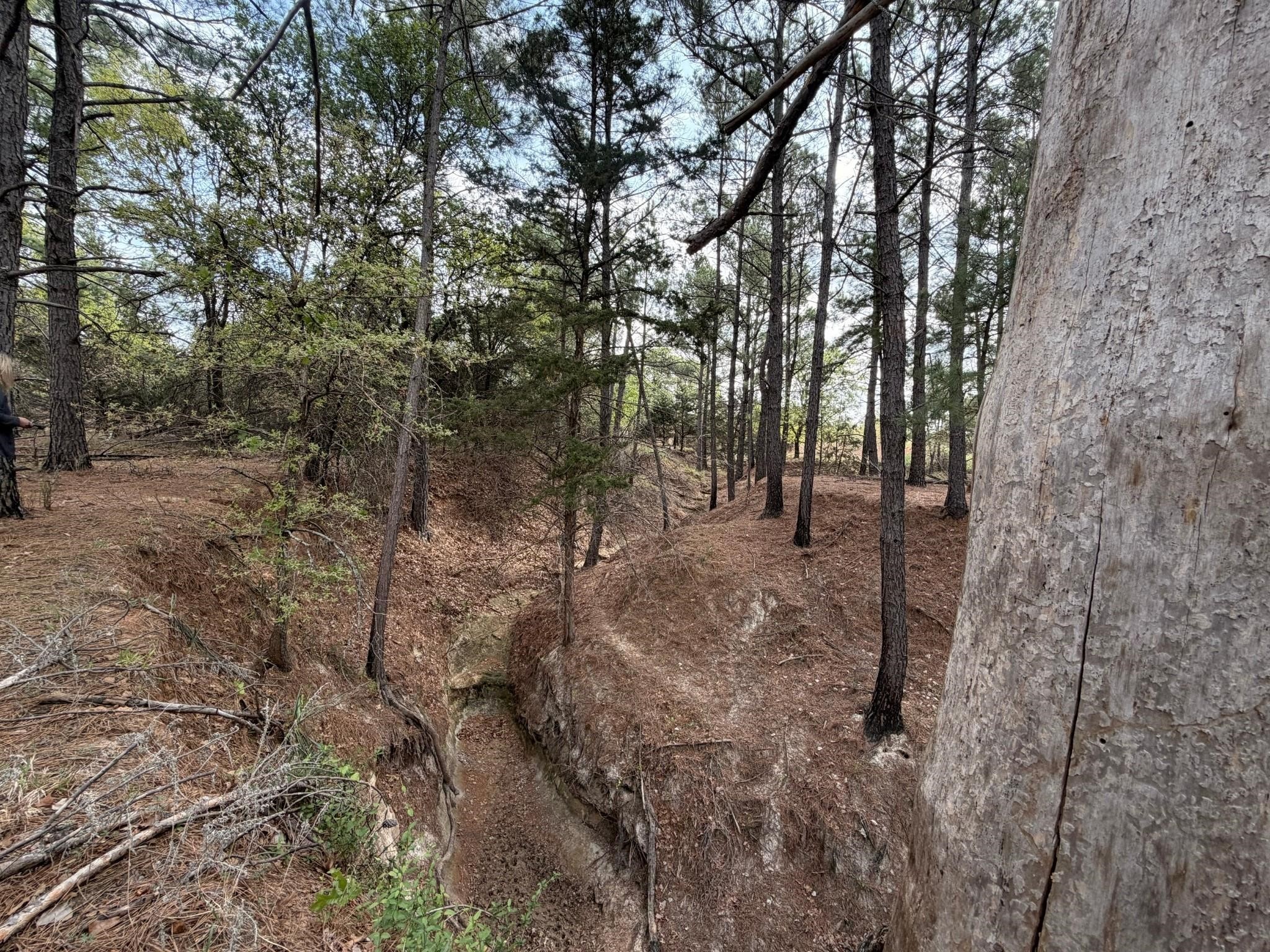 2548 County Road 2690 Alvord TX 76225