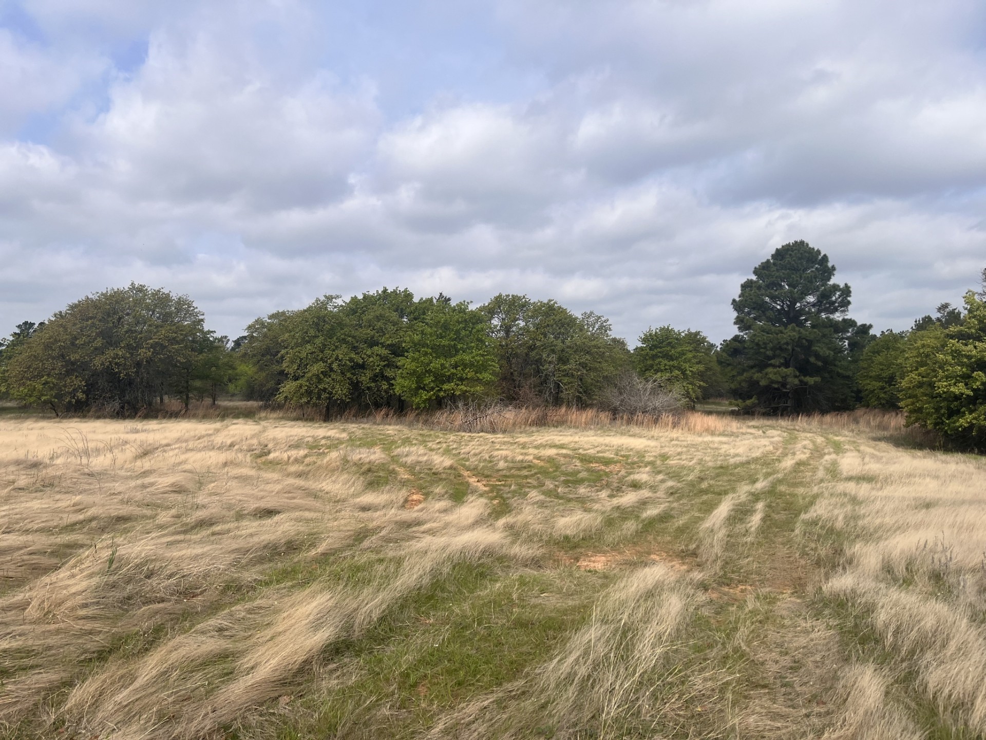 2548 County Road 2690 Alvord TX 76225