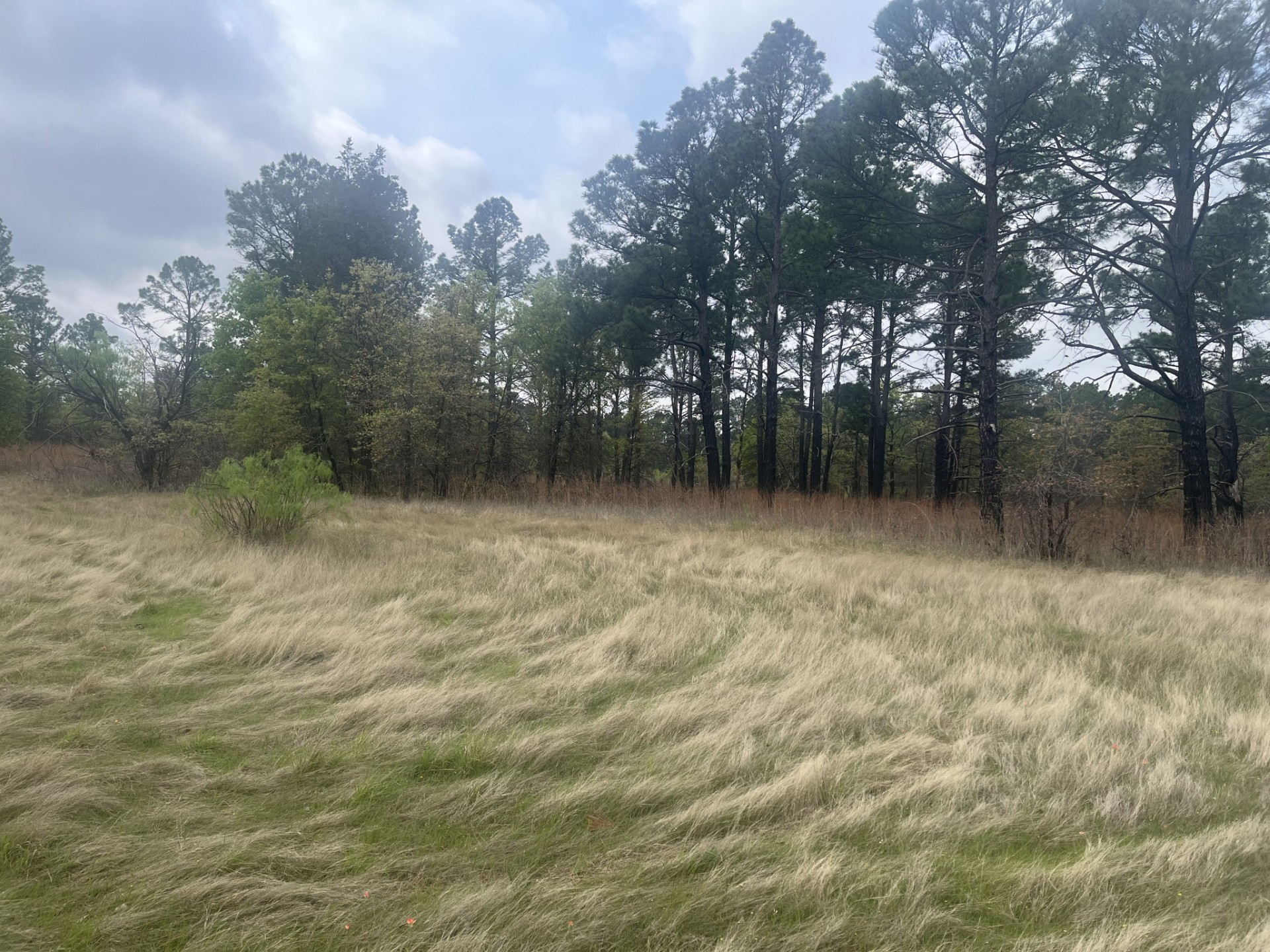 2548 County Road 2690 Alvord TX 76225