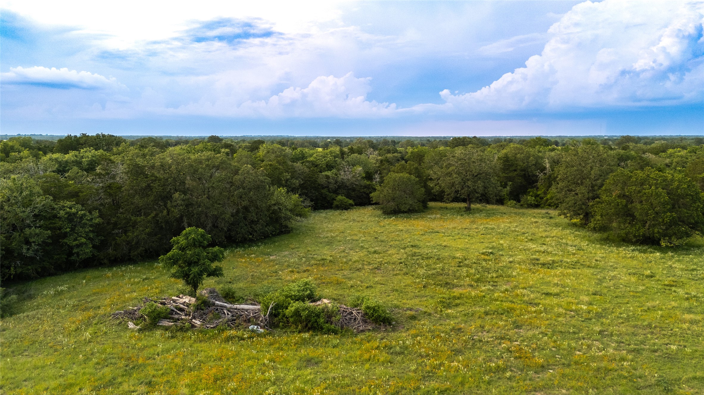 1395 S Highway 95 Smithville TX 78957