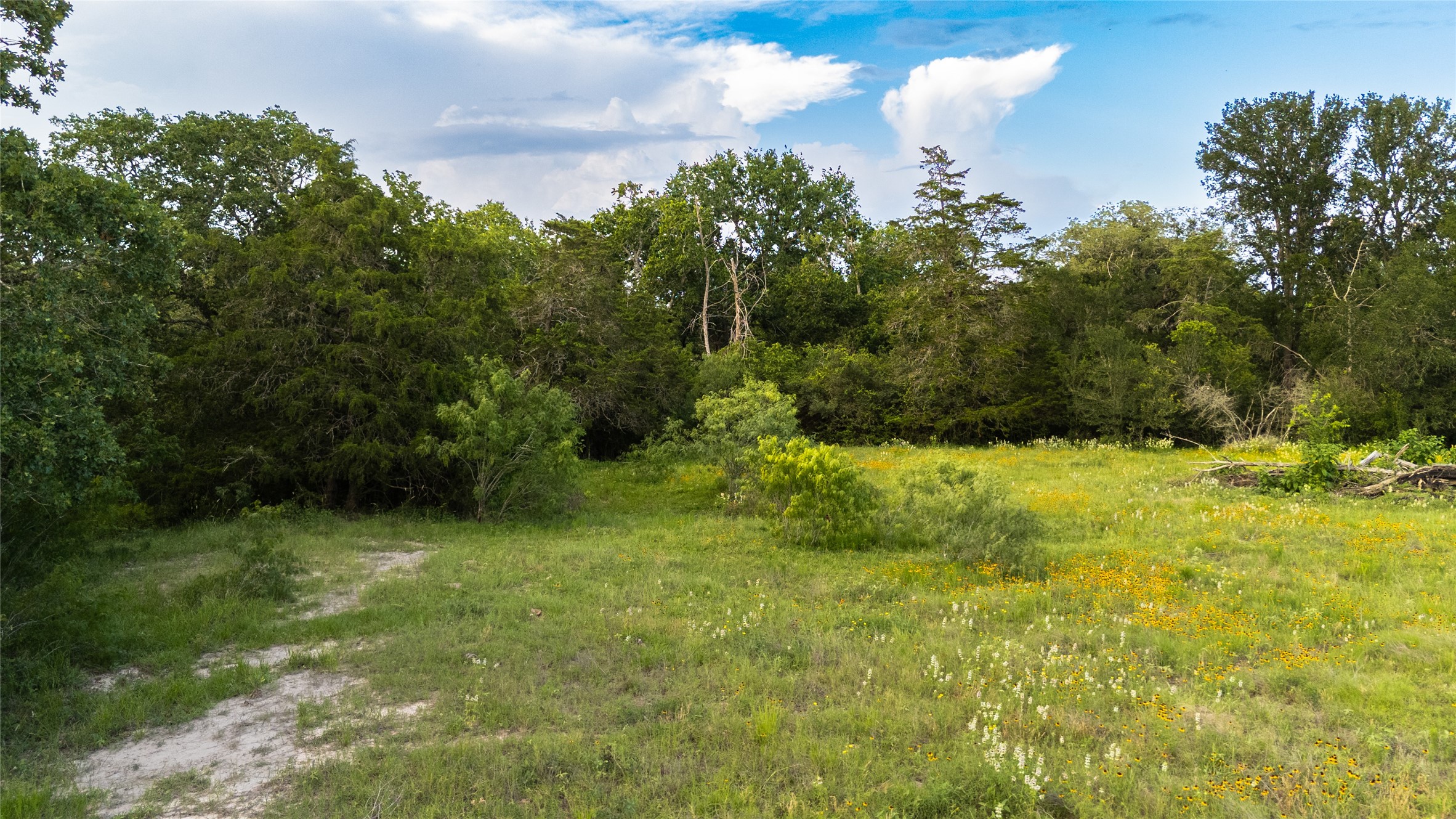 1395 S Highway 95 Smithville TX 78957