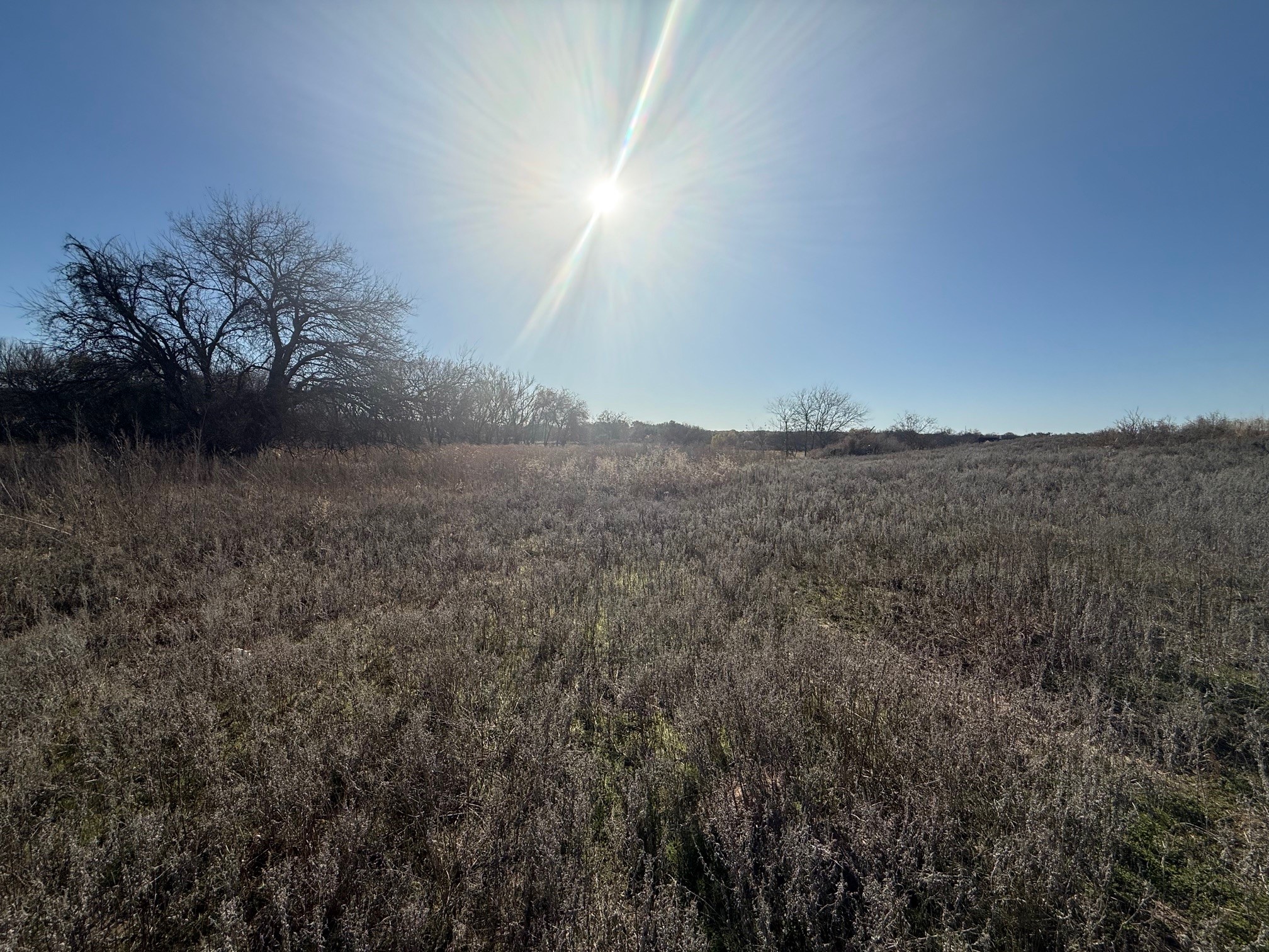 598 Central Road Weatherford TX 76088