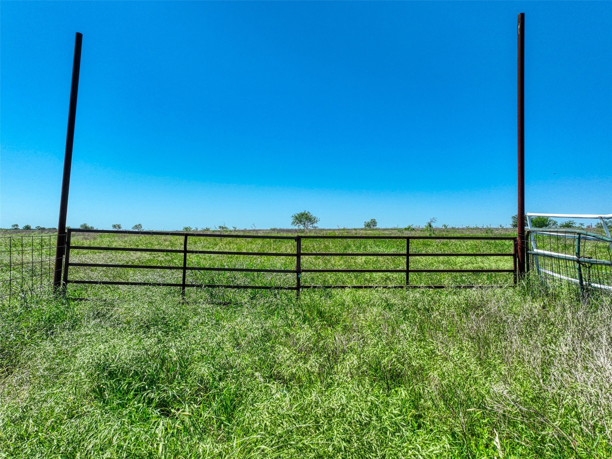 Tbd Fm 744 Barry TX 75102