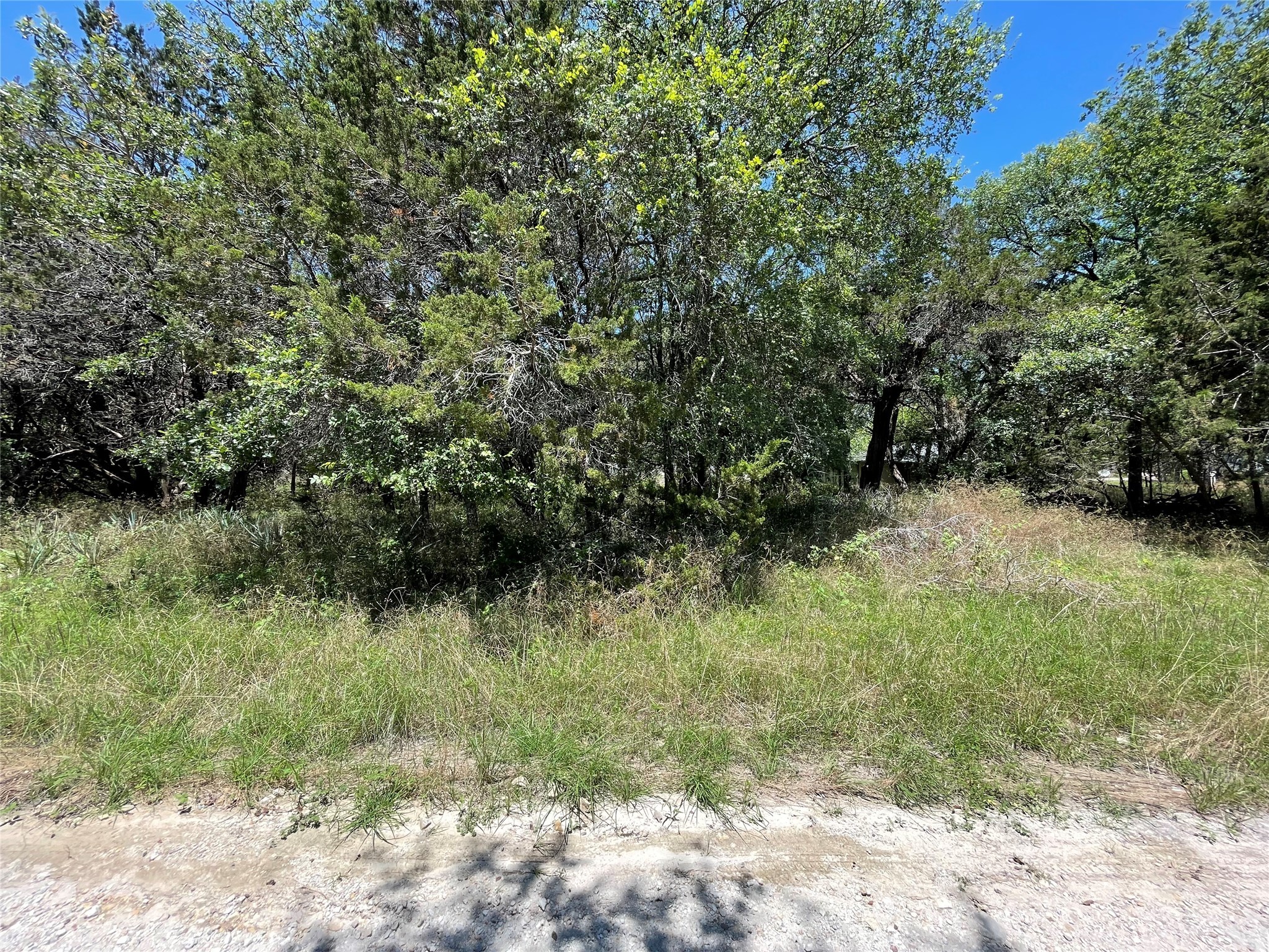 Tbd County Road 1527 Morgan TX 76671