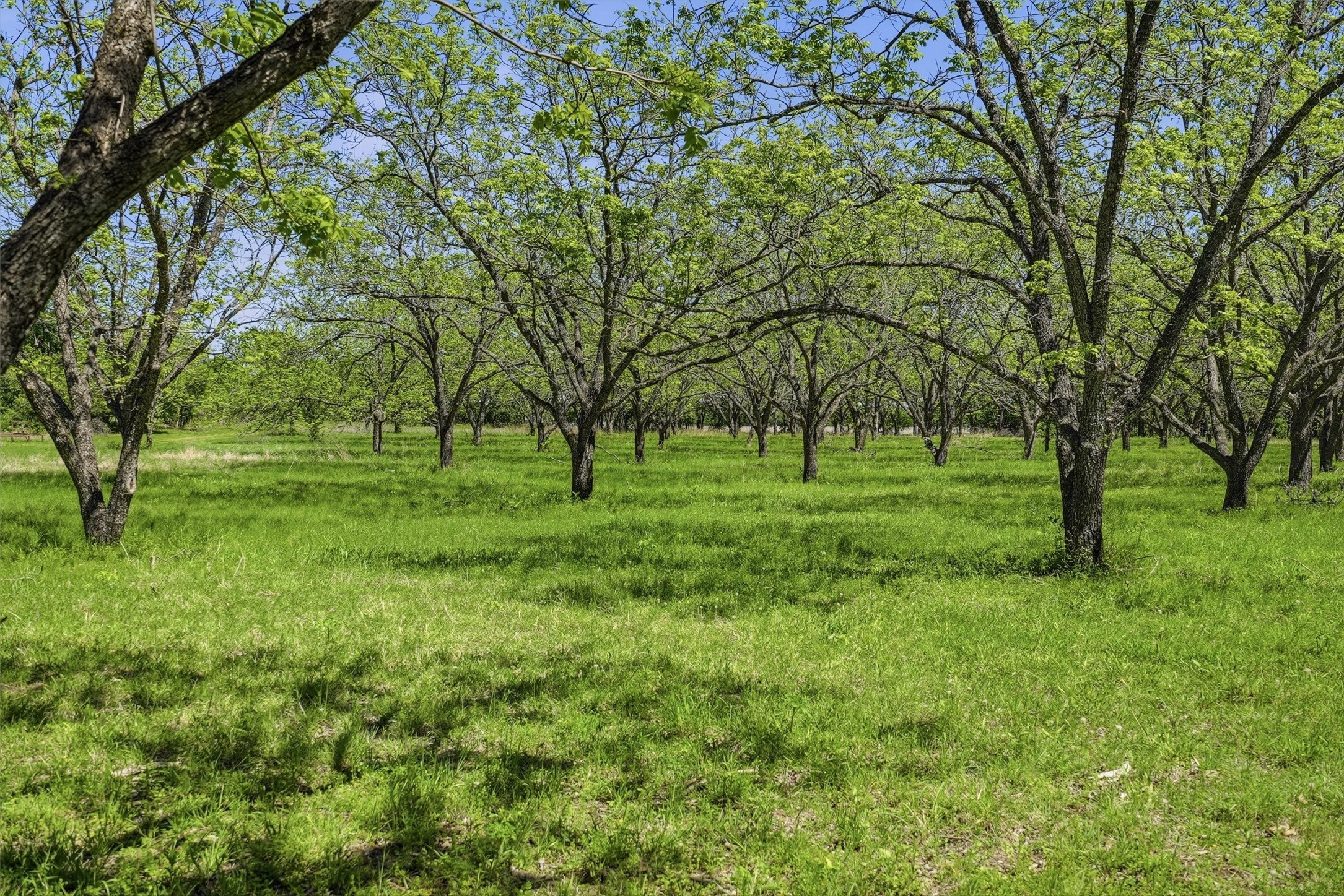 12011 Paradise Boulevard Bluff Dale TX 76433