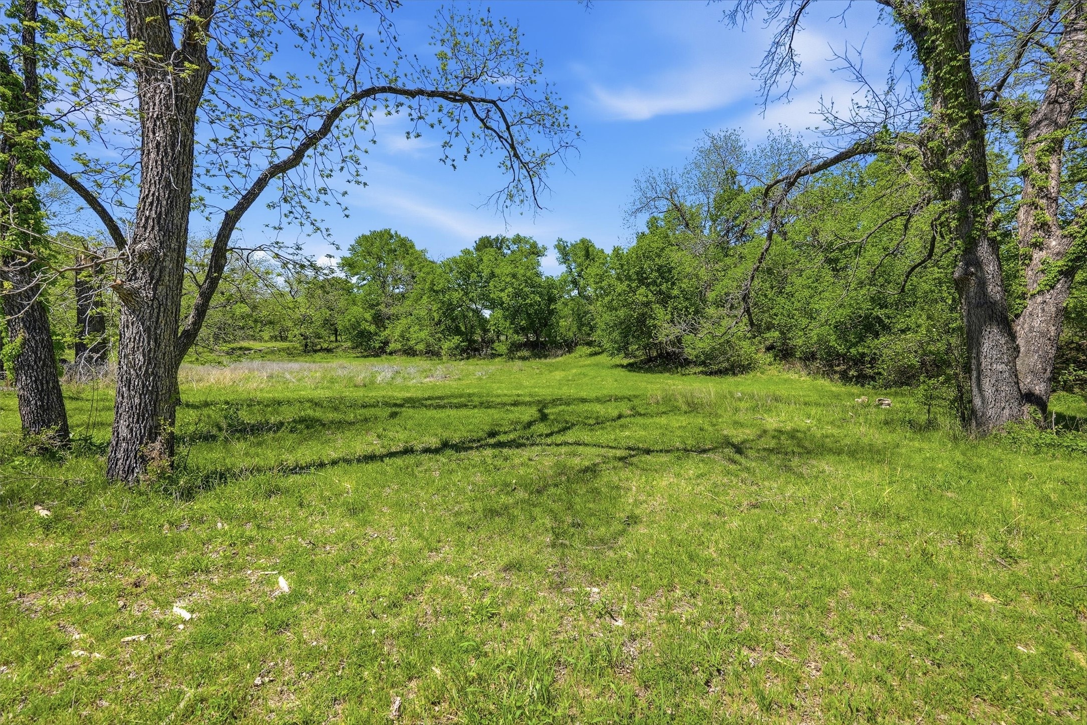 12011 Paradise Boulevard Bluff Dale TX 76433