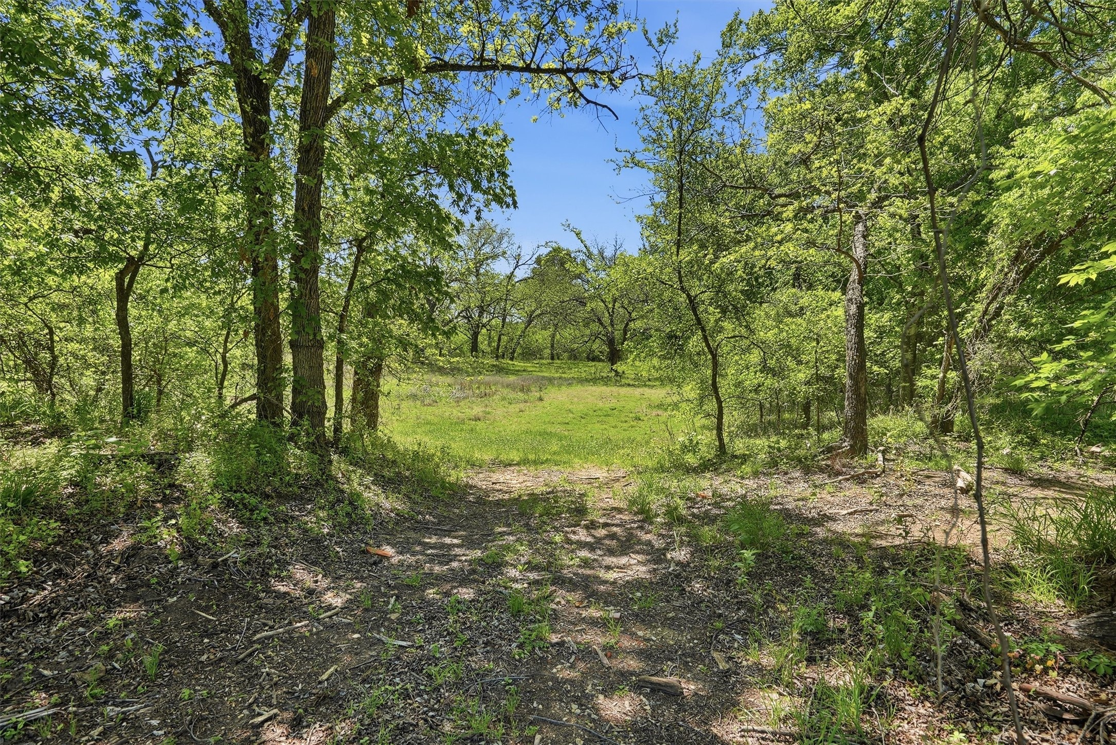 12011 Paradise Boulevard Bluff Dale TX 76433