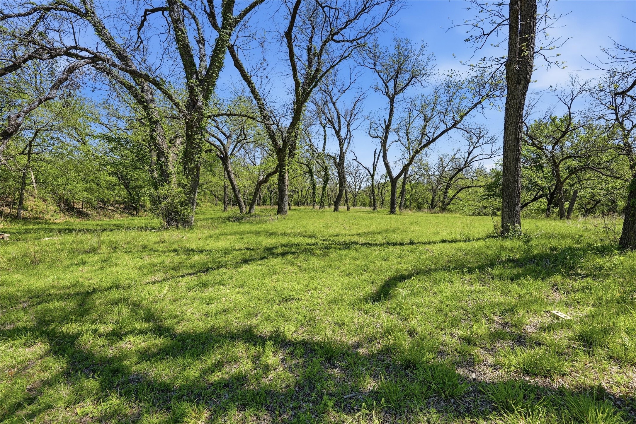 12011 Paradise Boulevard Bluff Dale TX 76433