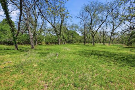 12011 Paradise Boulevard Bluff Dale TX 76433