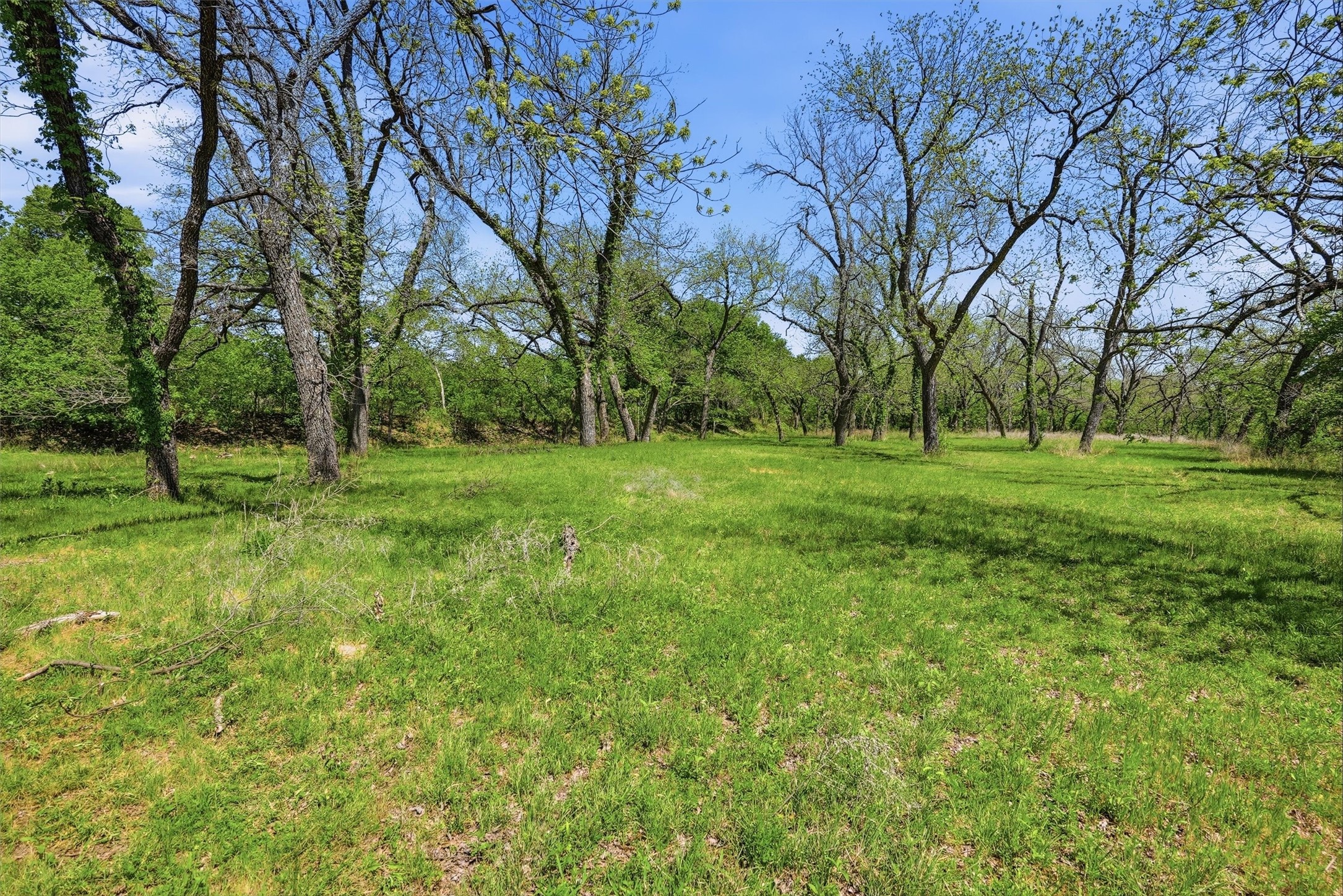 12011 Paradise Boulevard Bluff Dale TX 76433
