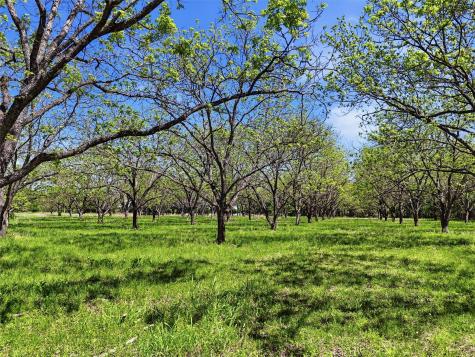 12011 Paradise Boulevard Bluff Dale TX 76433