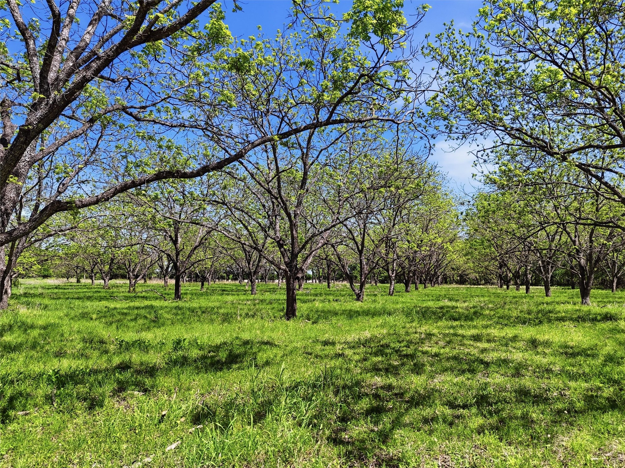 12011 Paradise Boulevard Bluff Dale TX 76433