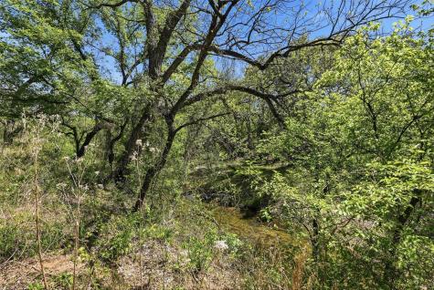 12011 Paradise Boulevard Bluff Dale TX 76433