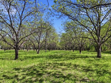 12011 Paradise Boulevard Bluff Dale TX 76433
