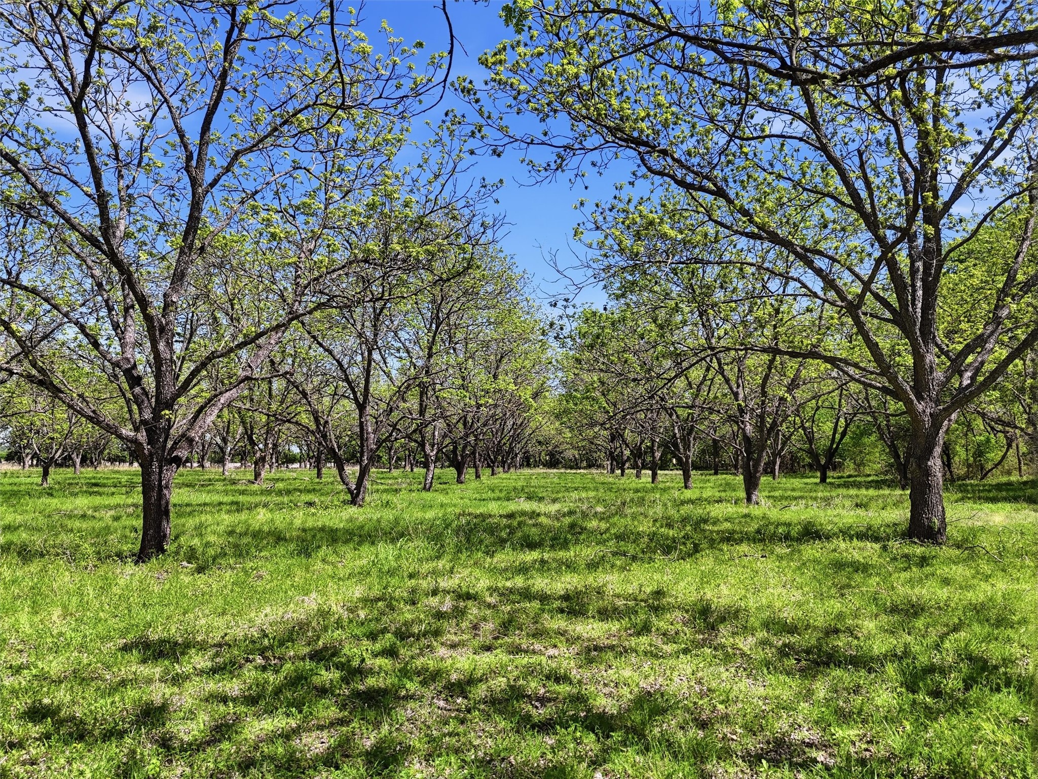 12011 Paradise Boulevard Bluff Dale TX 76433