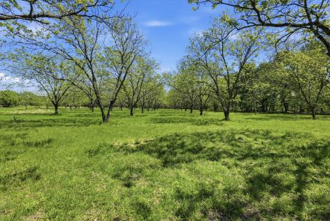 12011 Paradise Boulevard Bluff Dale TX 76433