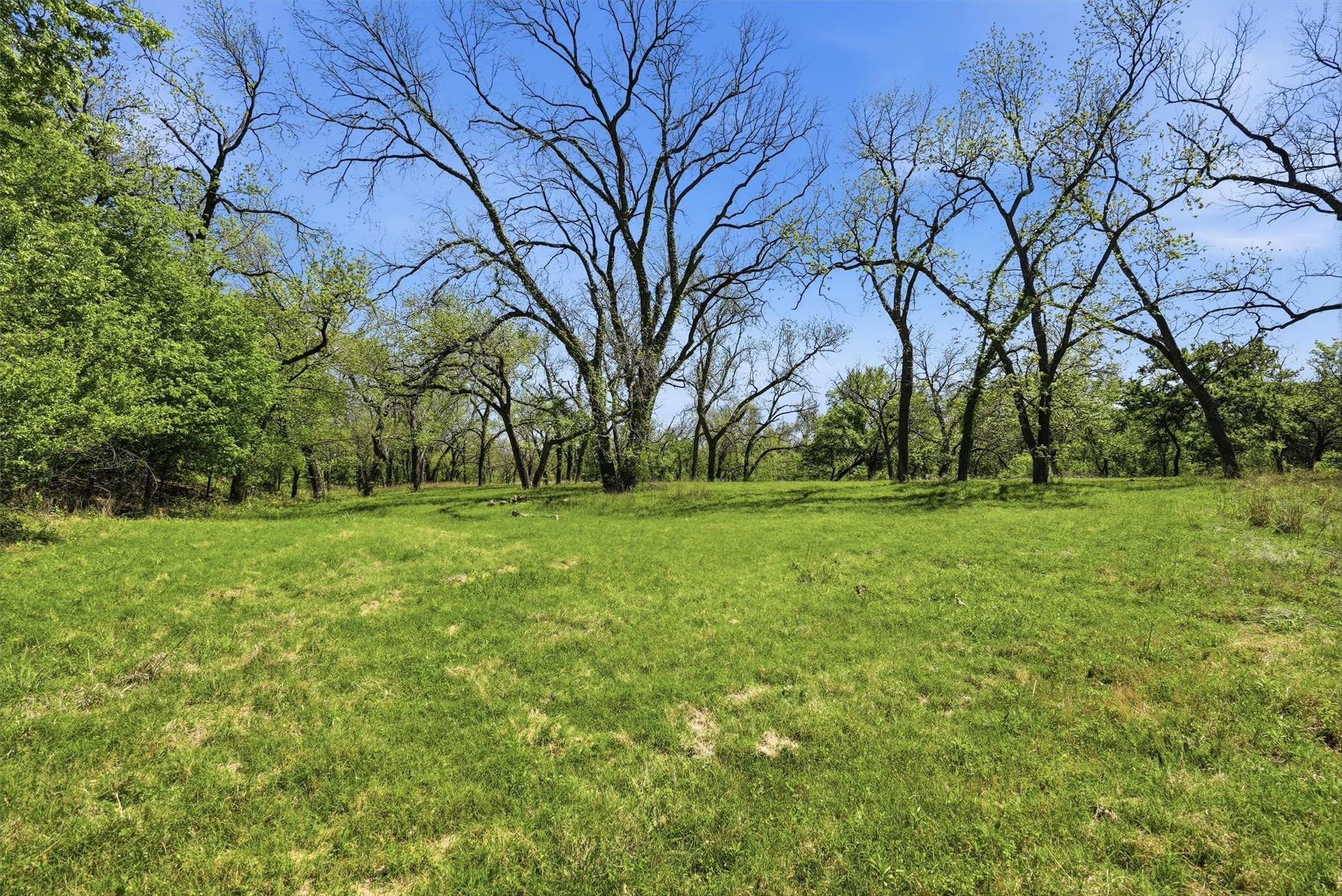 12011 Paradise Boulevard Bluff Dale TX 76433