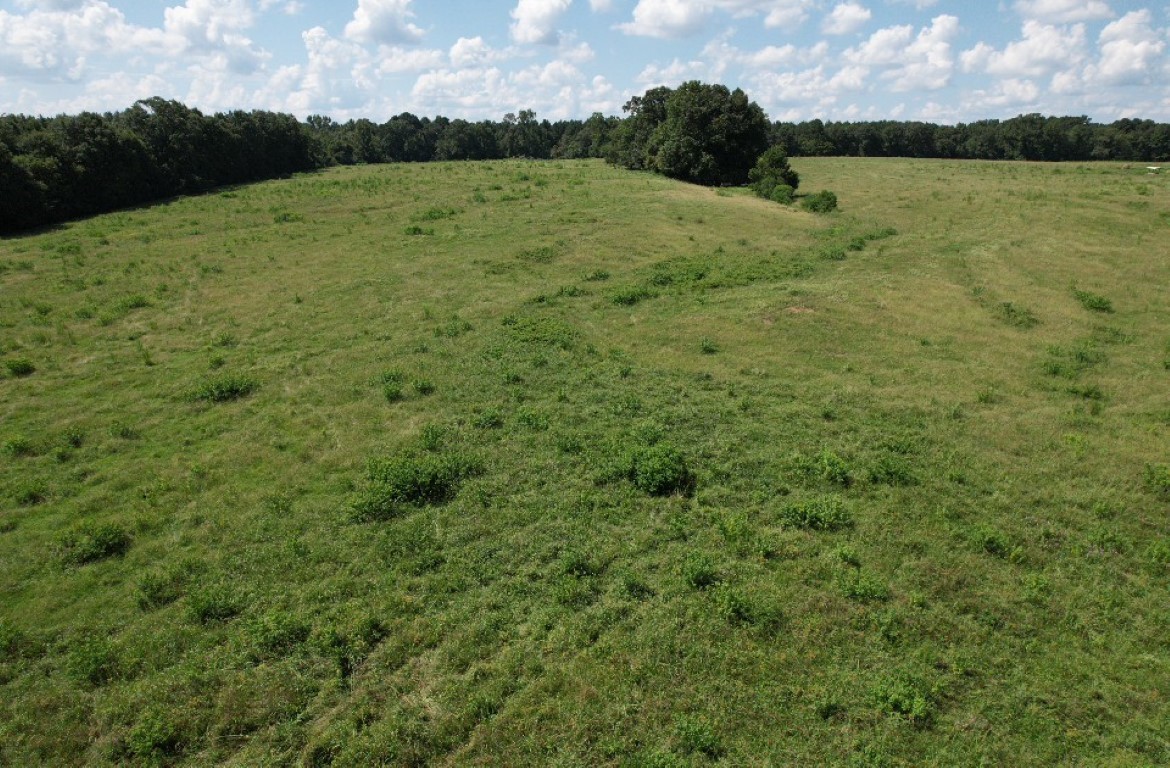 Tbd-b Cr 4037 Timpson TX 75975