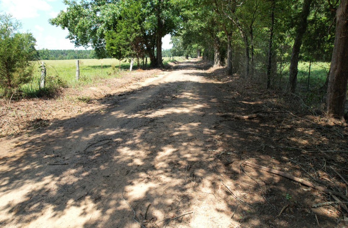 Tbd-b Cr 4037 Timpson TX 75975
