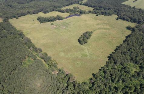 TBD-B Cr 4037 Timpson TX 75975