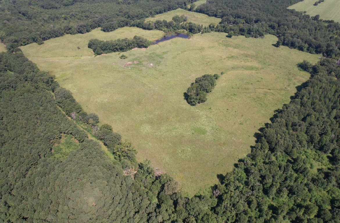 Tbd-b Cr 4037 Timpson TX 75975