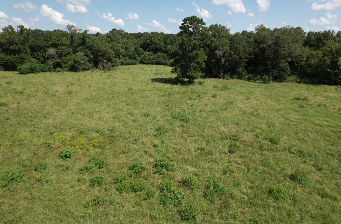 Tbd-b Cr 4037 Timpson TX 75975