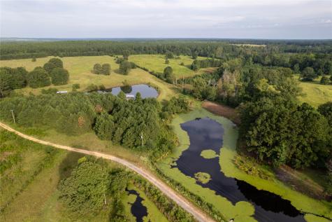 Lake Country (Lot 12) TX-77 Atlanta TX 75551