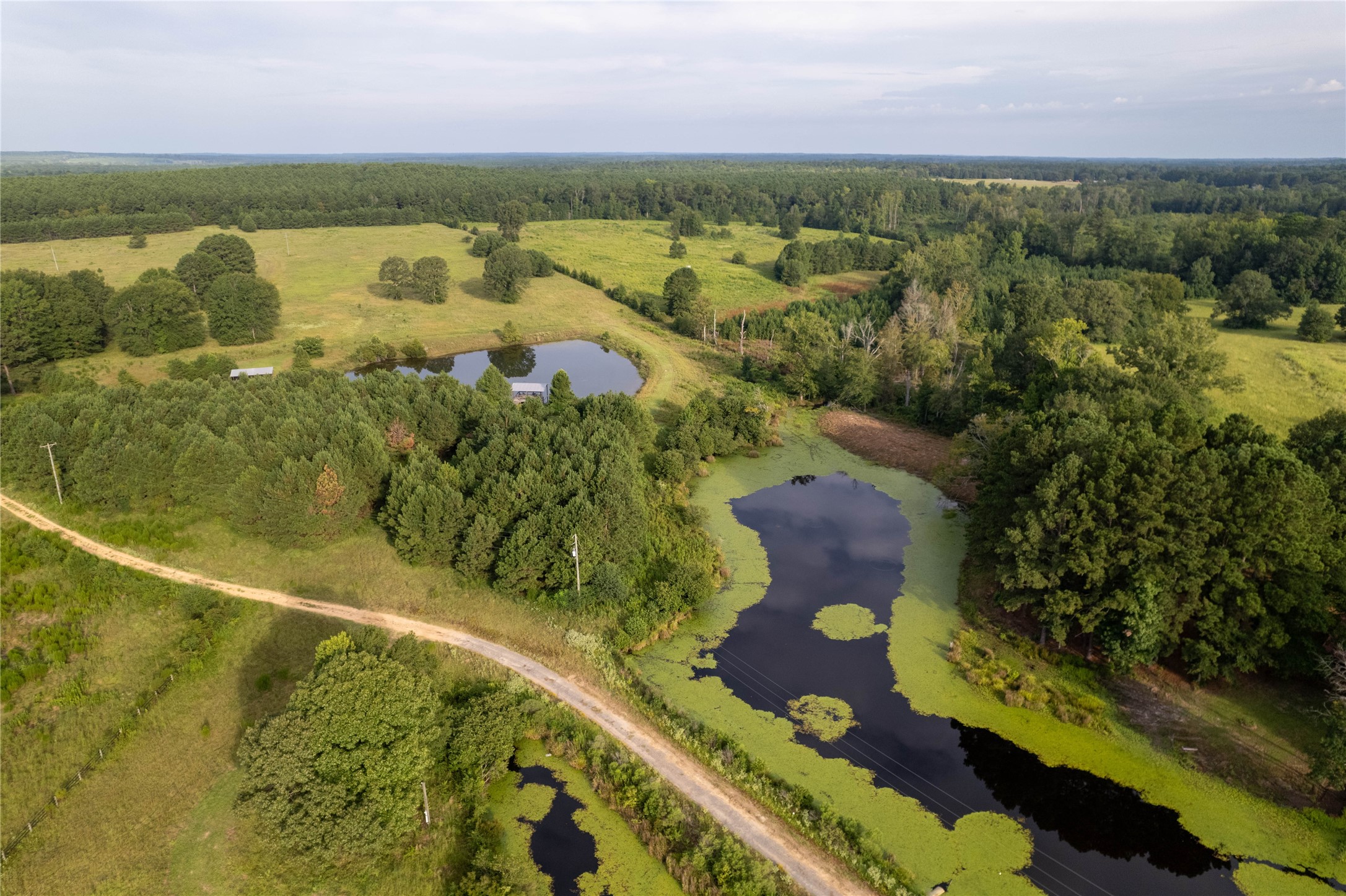 Lake Country (Lot 12) Tx-77 Atlanta TX 75551
