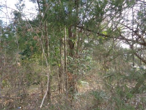 Tbd Cr 4870 Winnsboro TX 75494