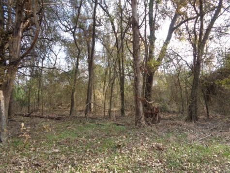 Tbd Cr 4870 Winnsboro TX 75494