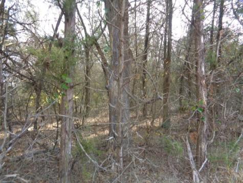 Tbd Cr 4870 Winnsboro TX 75494