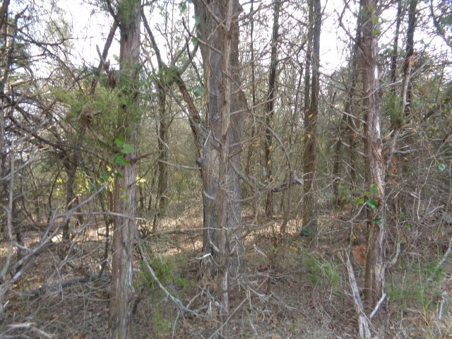Tbd Cr 4870 Winnsboro TX 75494