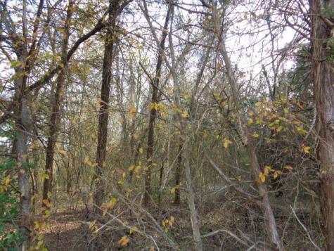 Tbd Cr 4870 Winnsboro TX 75494