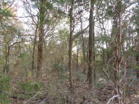 Tbd Cr 4870 Winnsboro TX 75494