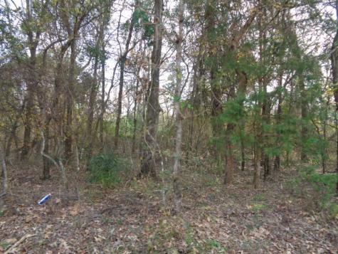 Tbd Cr 4870 Winnsboro TX 75494