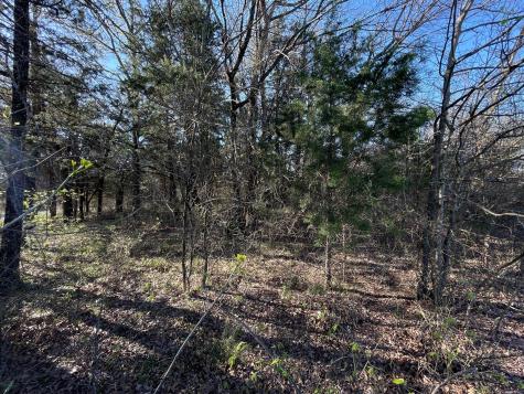 Lots 1b&2b Pronghorn Drive Gordonville TX 76245