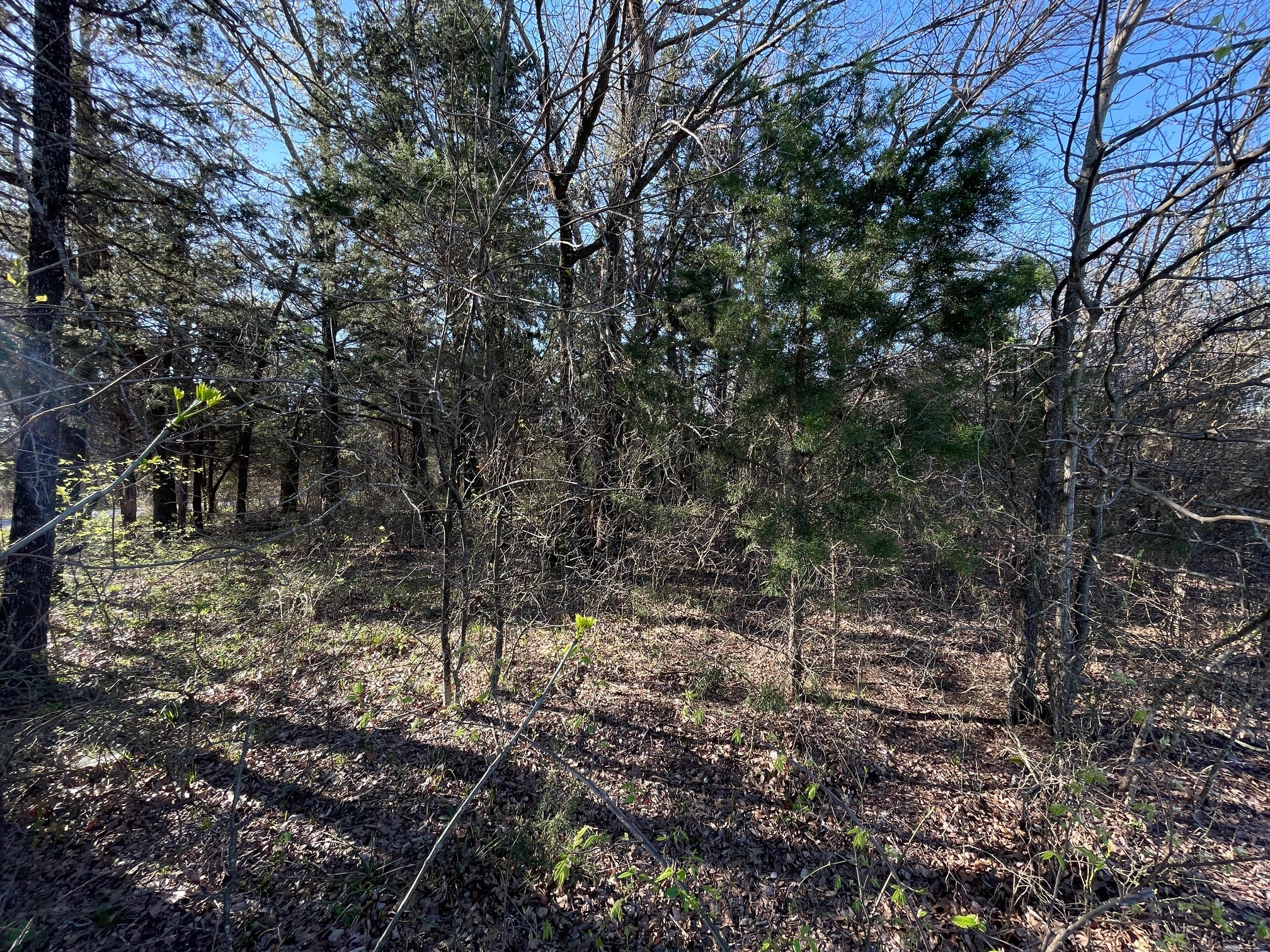 Lots 1b&2b Pronghorn Drive Gordonville TX 76245