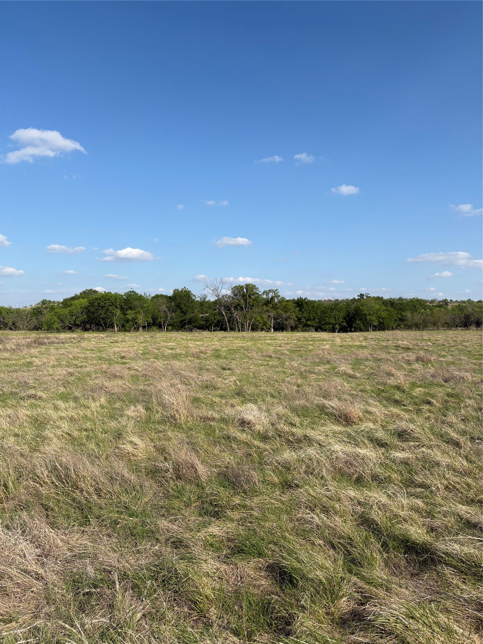 Tbd Whitetail Springs Lane Gustine TX 76455