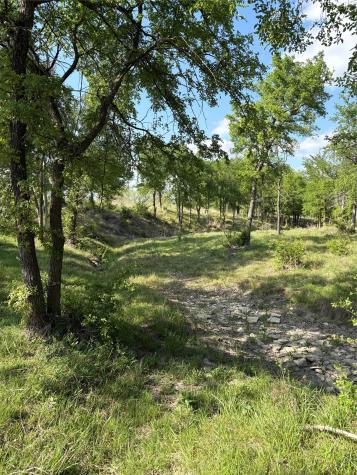 Tbd Whitetail Springs Lane Gustine TX 76455