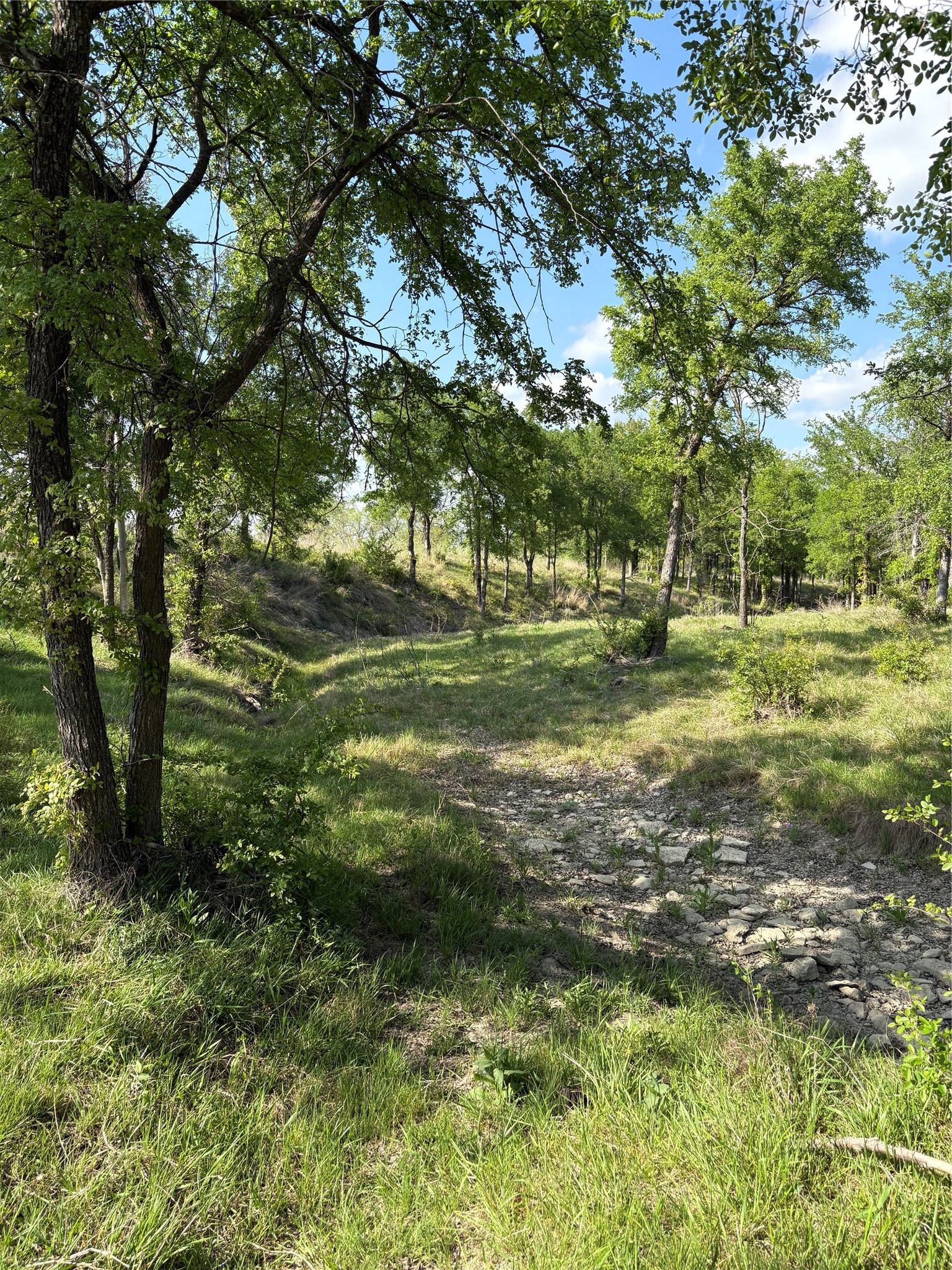 Tbd Whitetail Springs Lane Gustine TX 76455