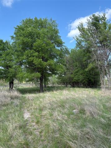 Tbd Whitetail Springs Lane Gustine TX 76455