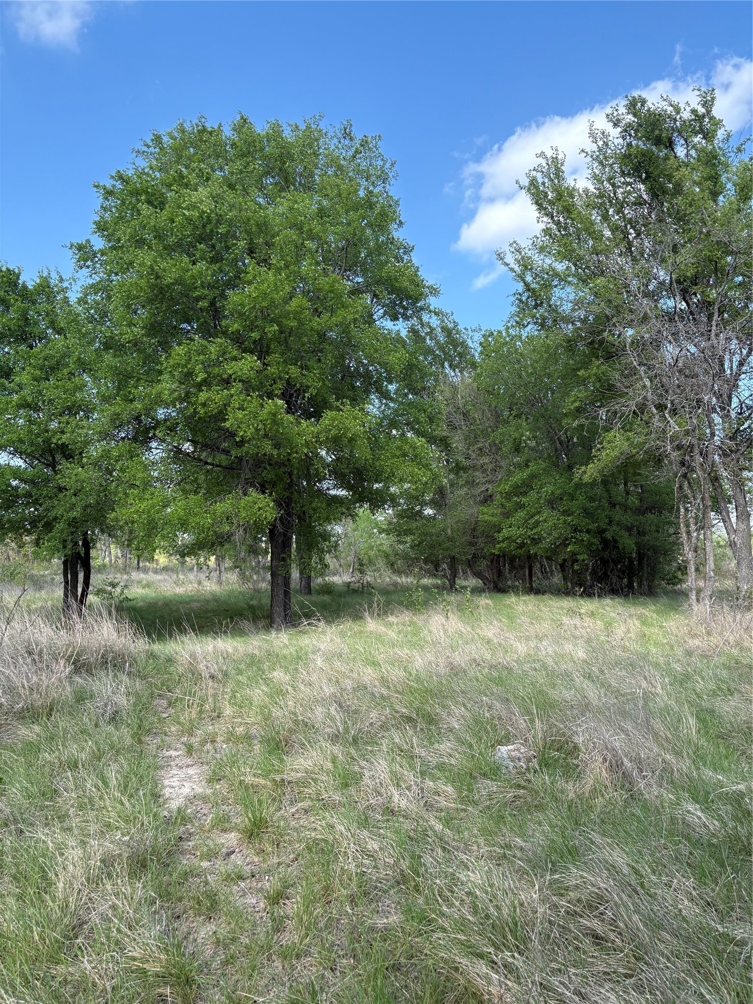 Tbd Whitetail Springs Lane Gustine TX 76455