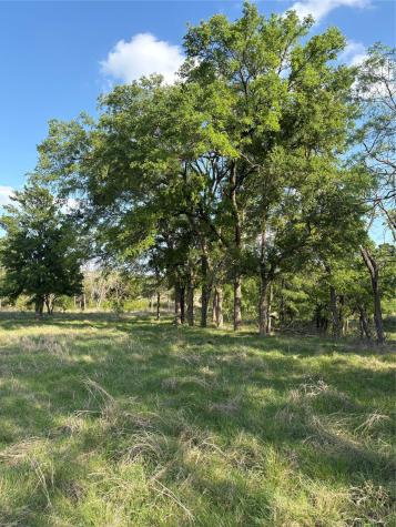 Tbd Whitetail Springs Lane Gustine TX 76455