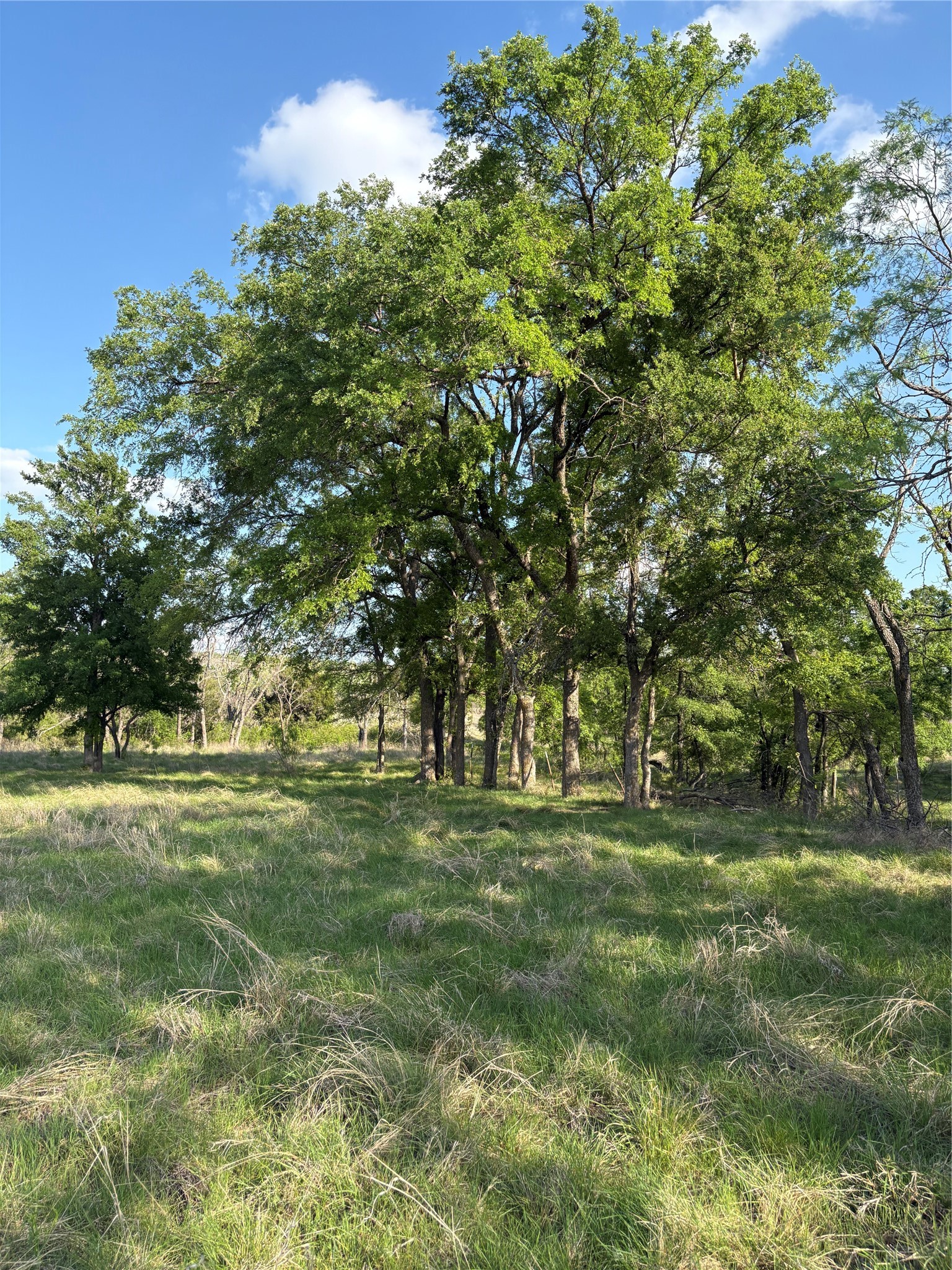 Tbd Whitetail Springs Lane Gustine TX 76455