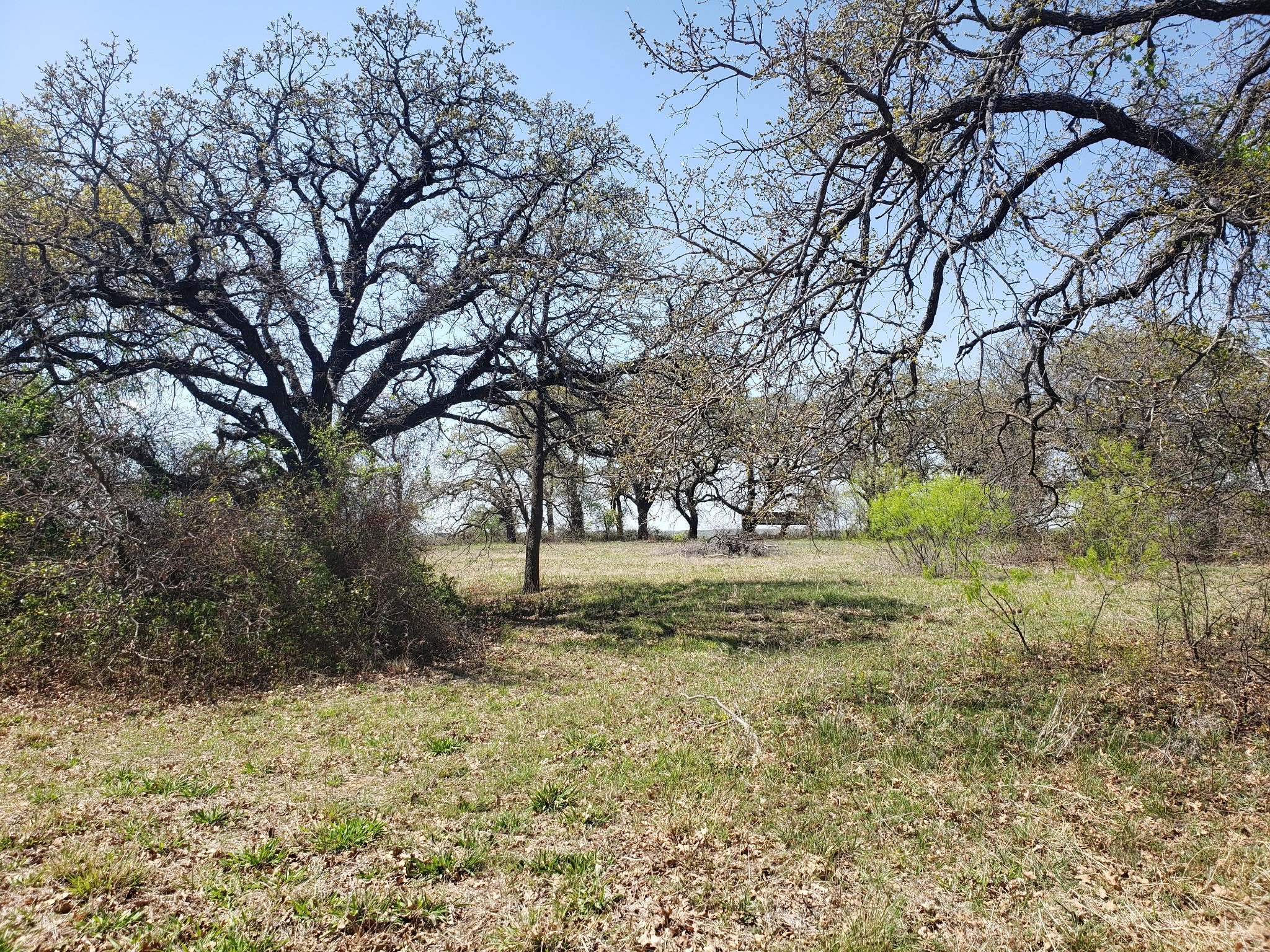 Tbd Cr 1990 Chico TX 76431