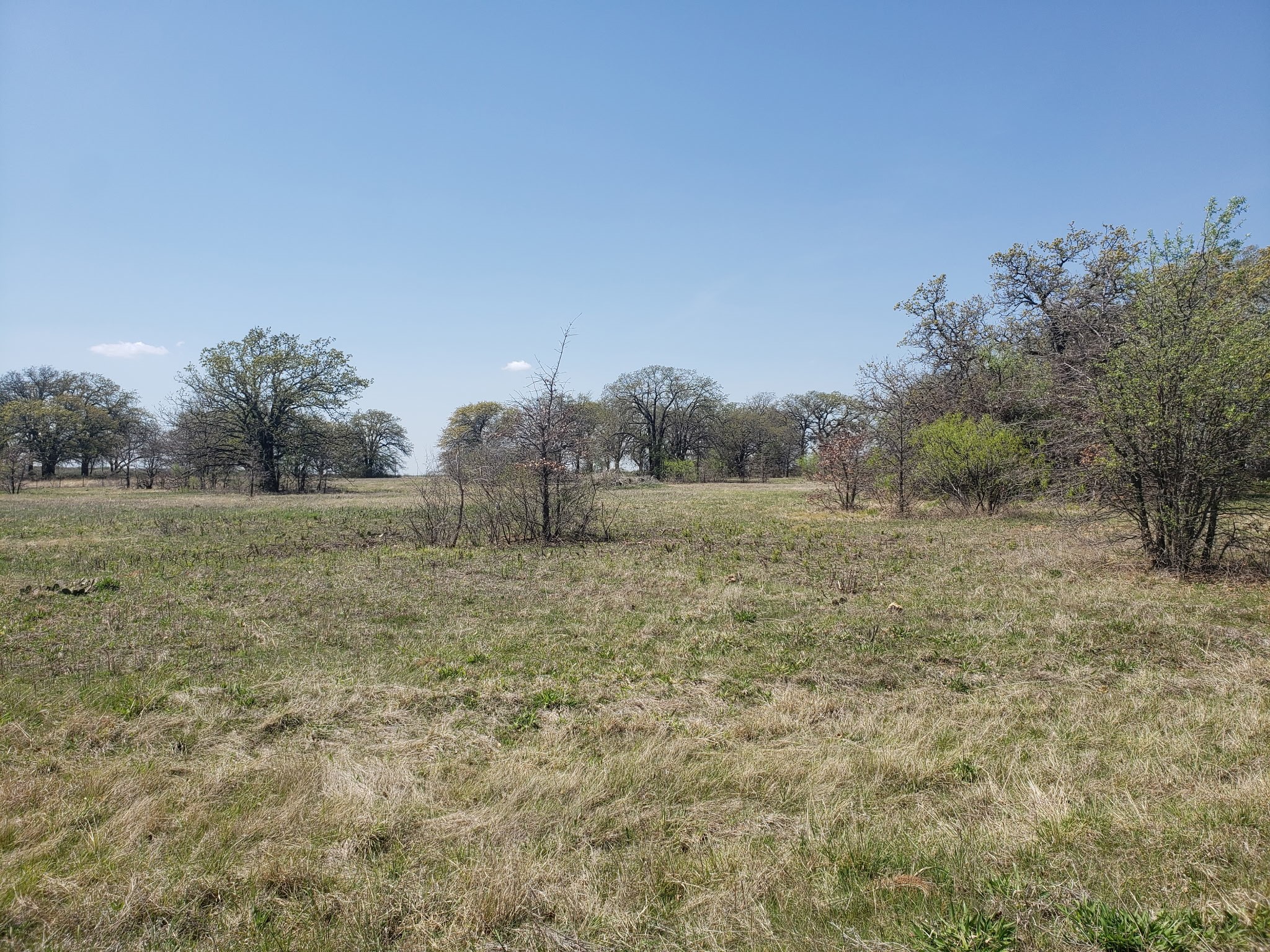 Tbd Cr 1990 Chico TX 76431