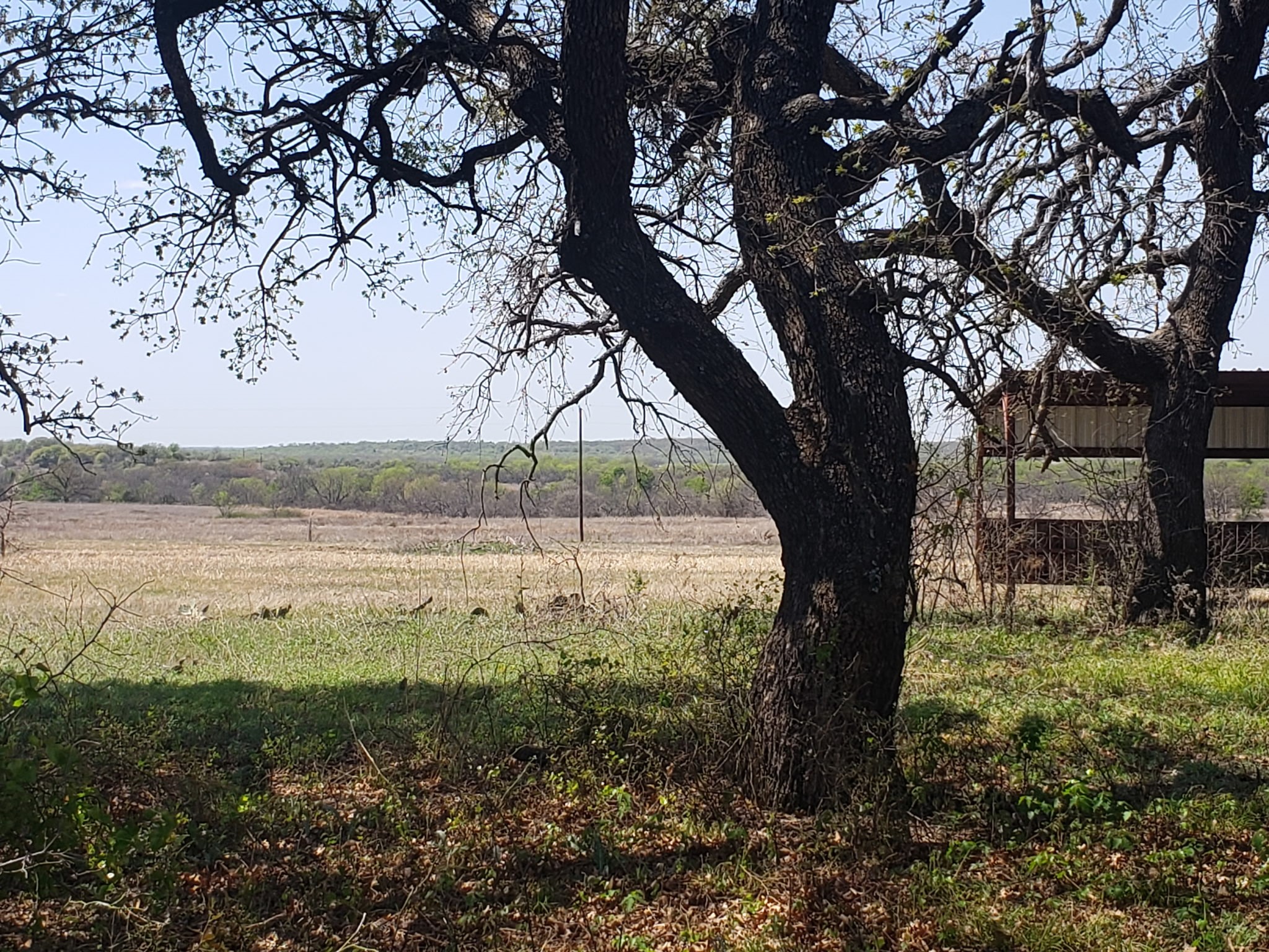 Tbd Cr 1990 Chico TX 76431